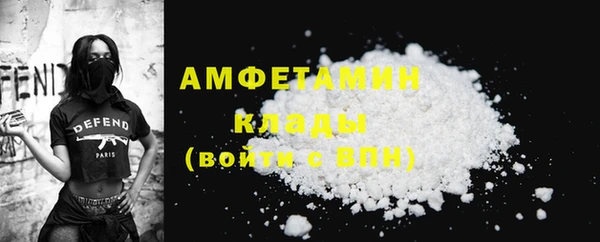 PSILOCYBIN Алзамай