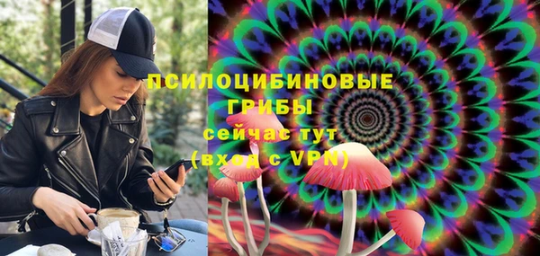 PSILOCYBIN Алзамай