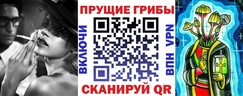 Галлюциногенные грибы GOLDEN TEACHER где продают наркотики Кимры